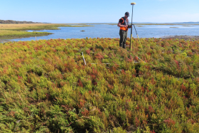 Boiler Marsh (intertidal relocation)